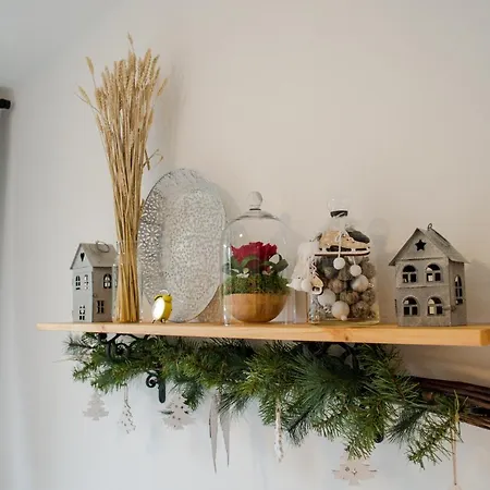 Alonia * 도노발리